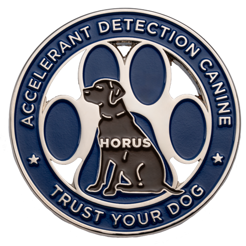 Color On Both Sides - Challenge Coins