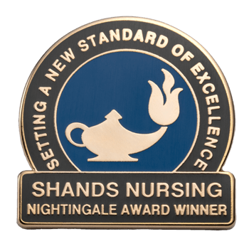 Cloisonné - Lapel Pins